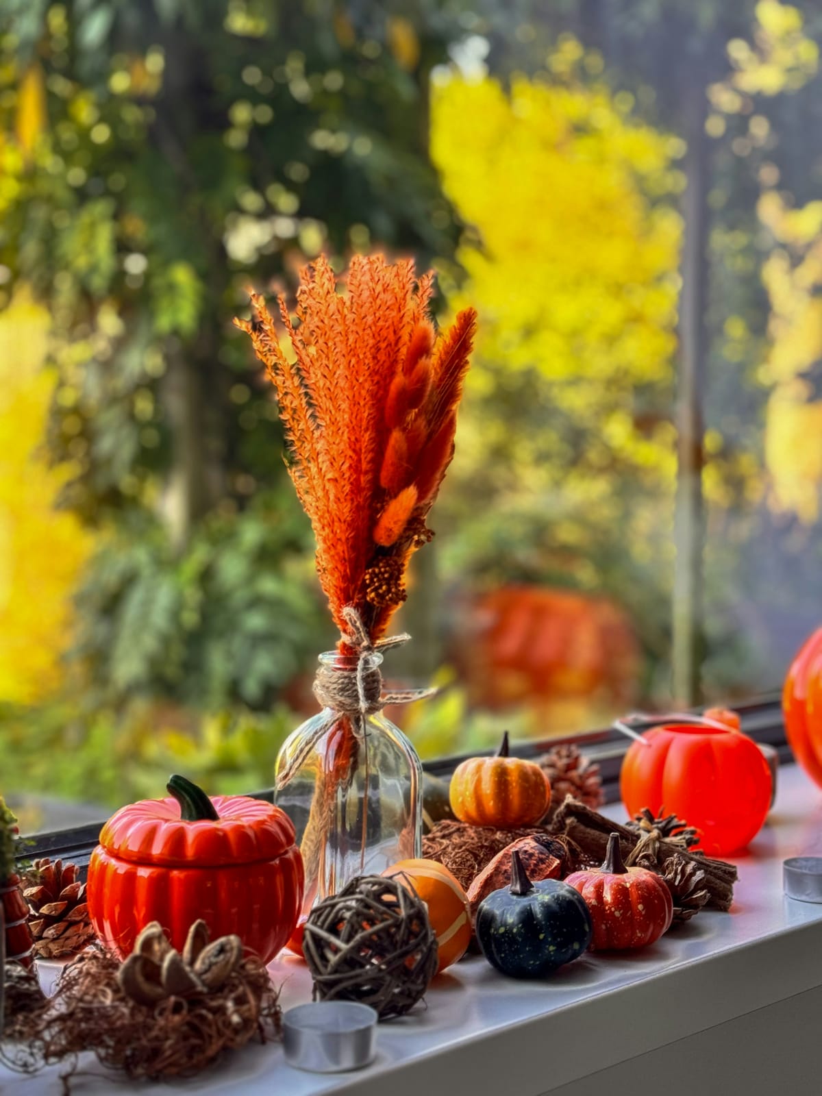 A vivid windowsill display of orange fall decor: a red ceramic pumpkin jar, dried orange pampas grass in a bottle, small gourds, and pinecones, with golden autumn trees through the window
