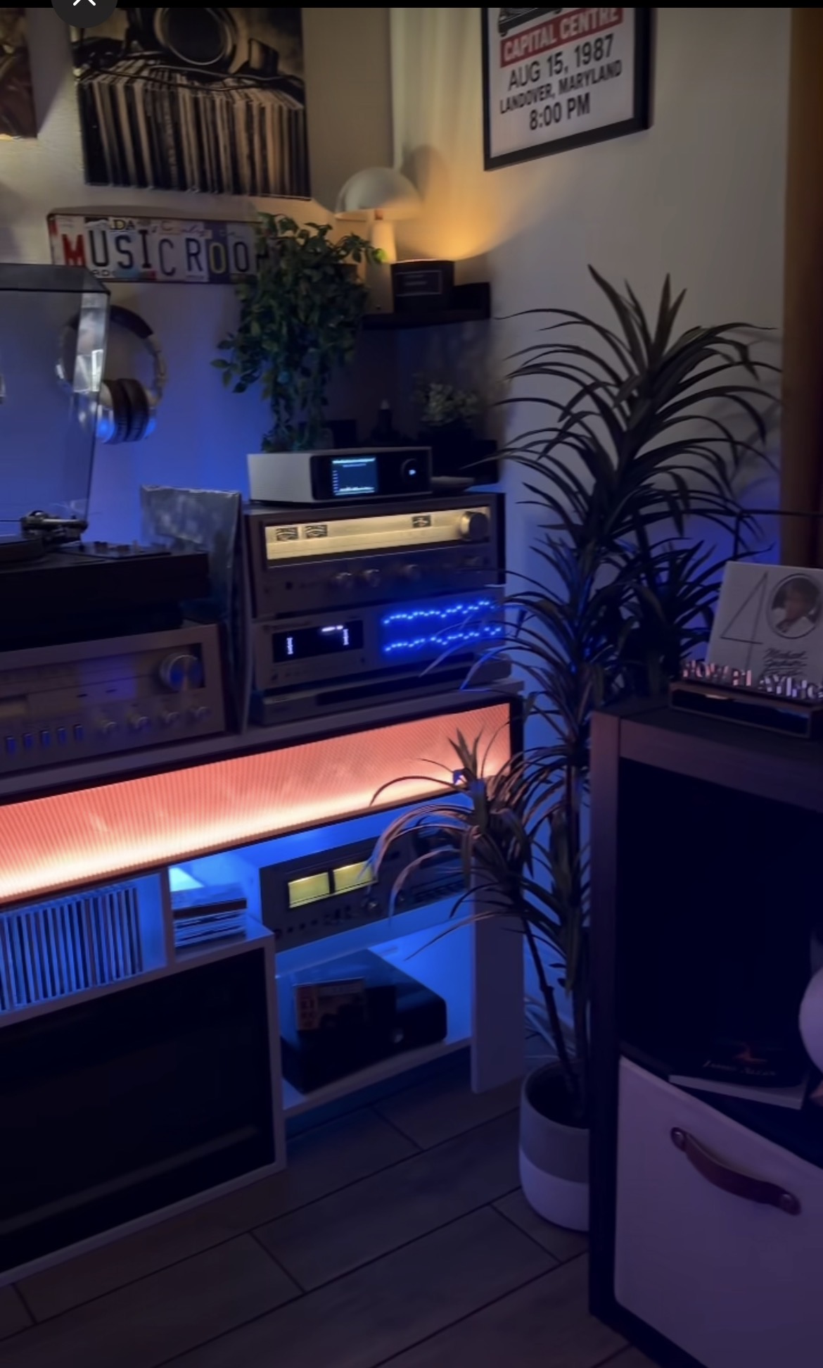 A cozy music room with a stacked vintage stereo system, a wall of vinyl records, headphones on display, tall plants, and red and blue LED accent lighting