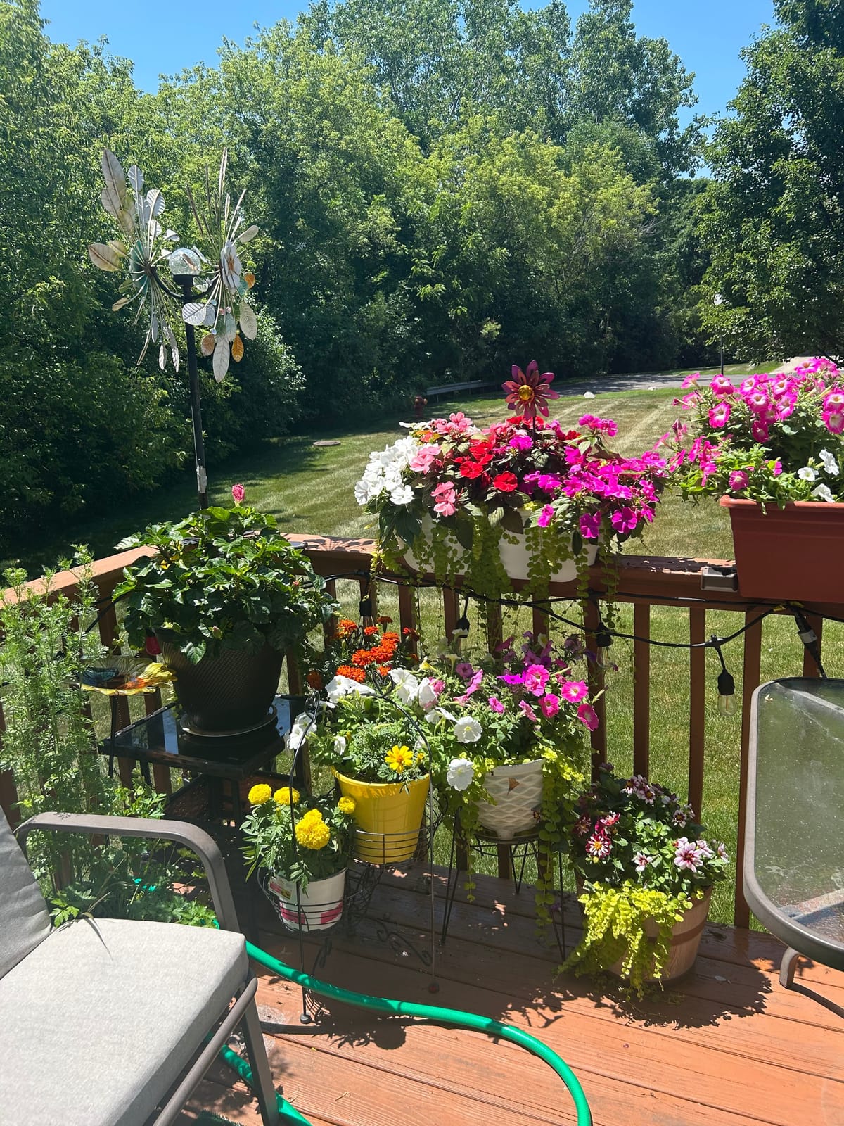 A sunny deck railing lined with pots and baskets of pink and white petunias, marigolds, and trailing greenery overlooking a green yard
